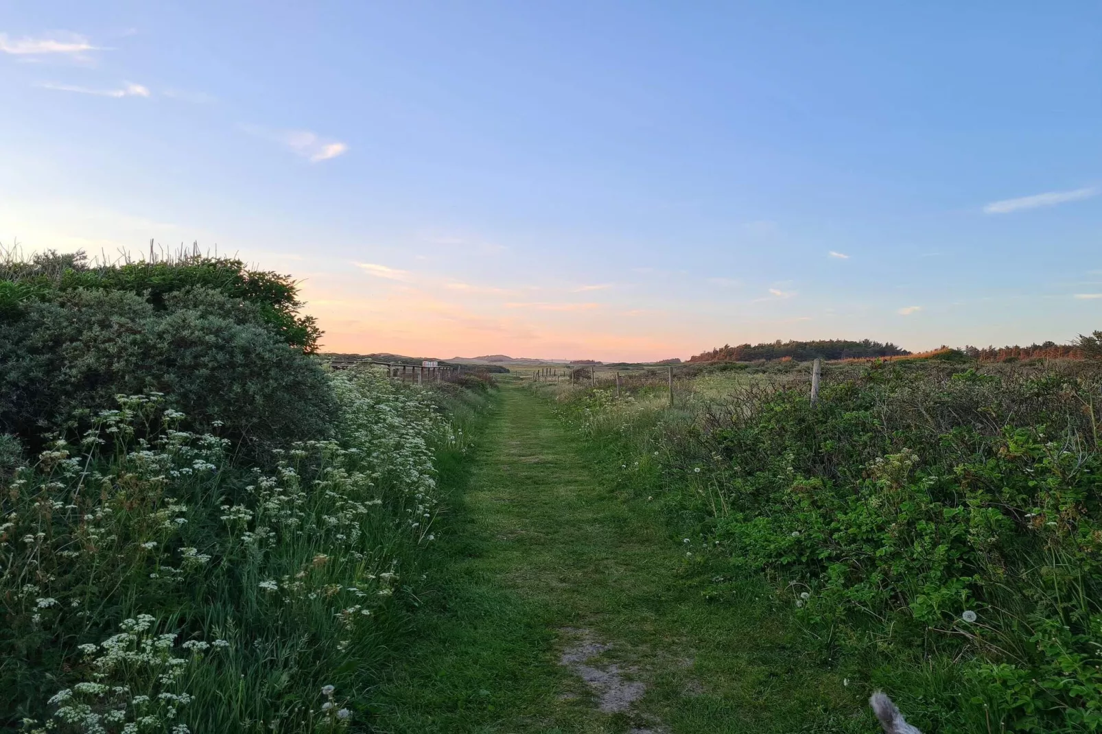 Luxe strandhuis voor 14 -- By Traum Ferienwohnungen-Niet-getagd