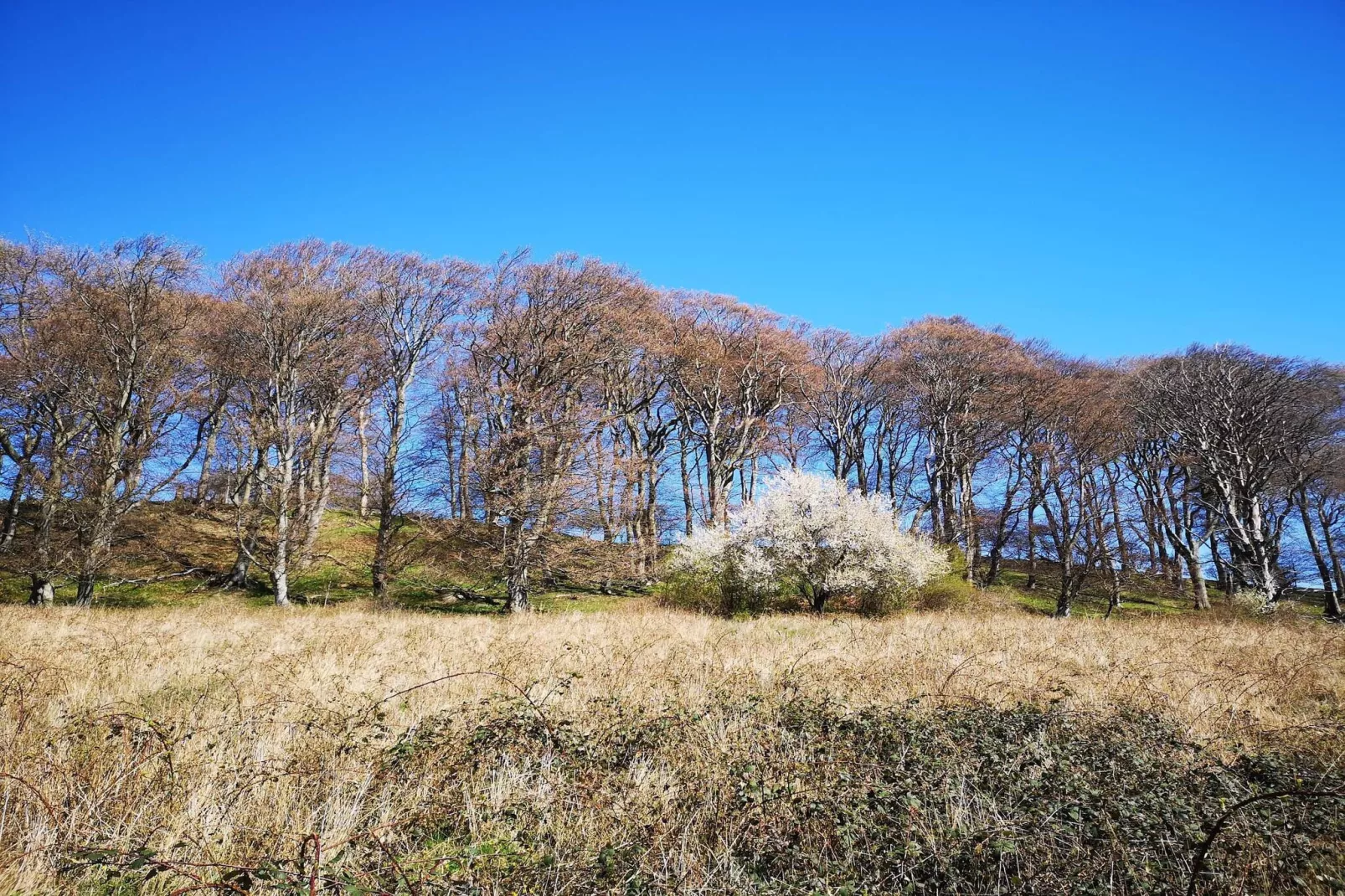 4 persoons vakantie huis in Borre-By Traum-Niet-getagd