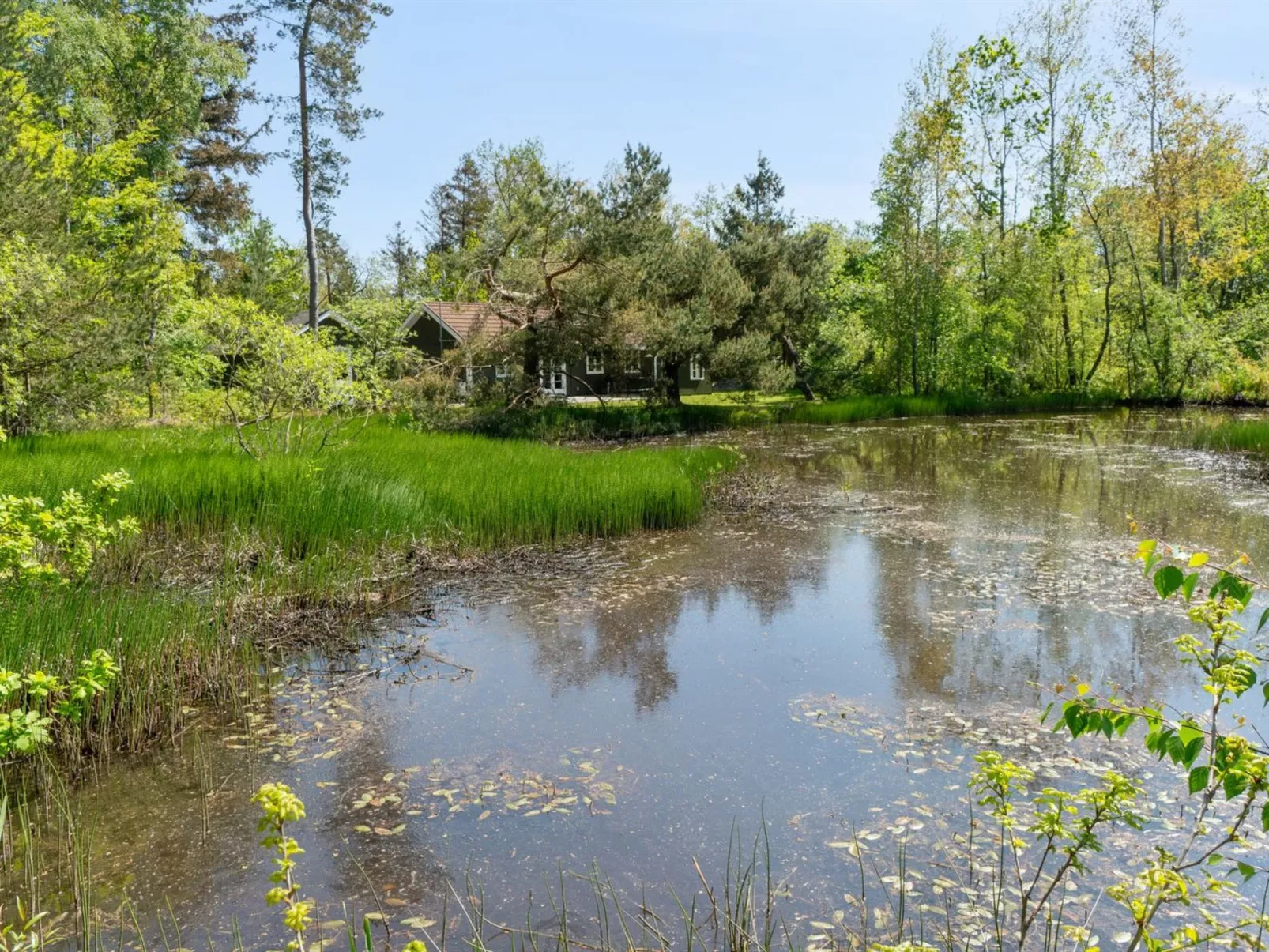 "Smilla" - 300m from the sea-Buiten