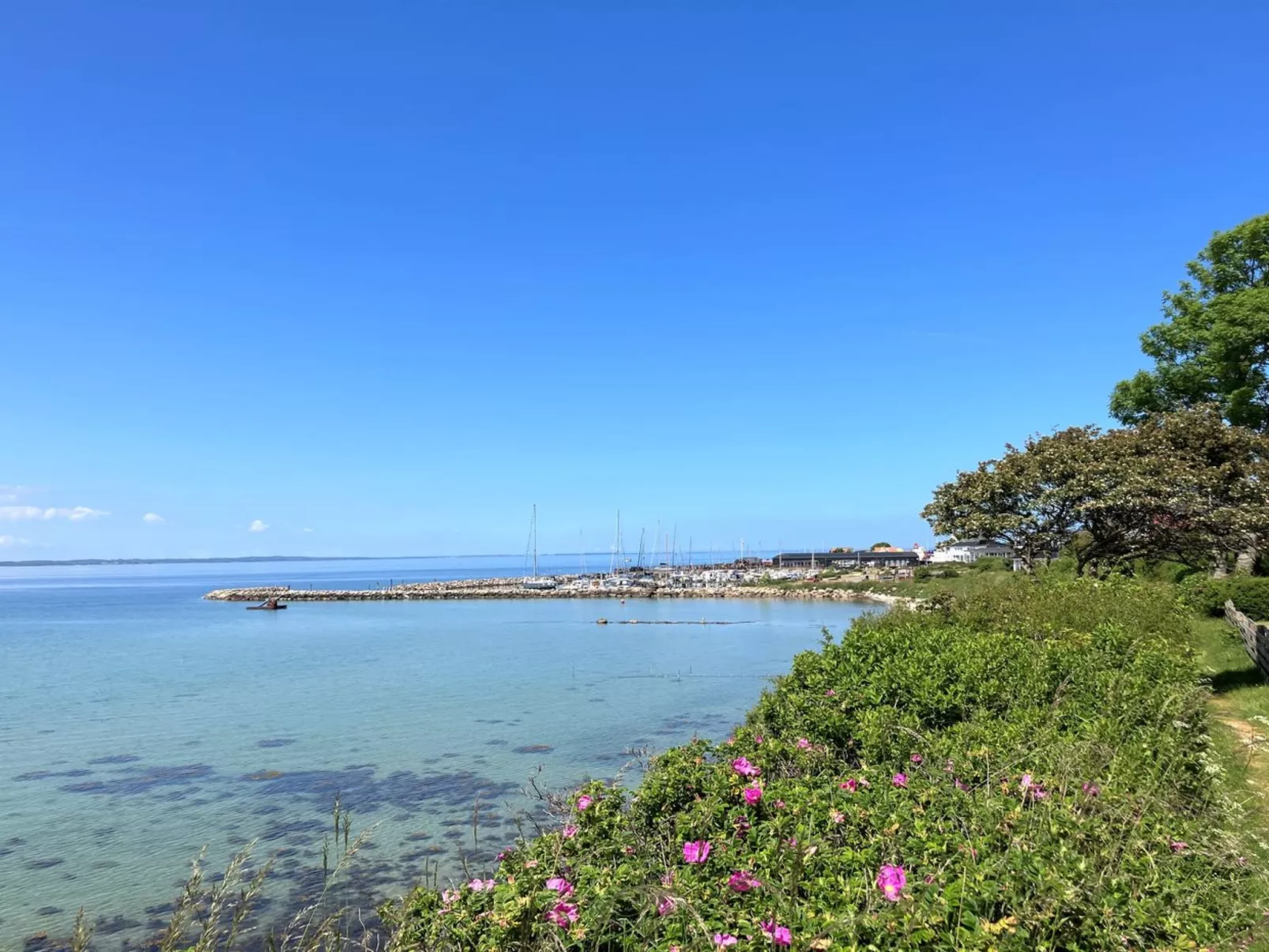 "Jovana" - 40m from the sea-Buiten