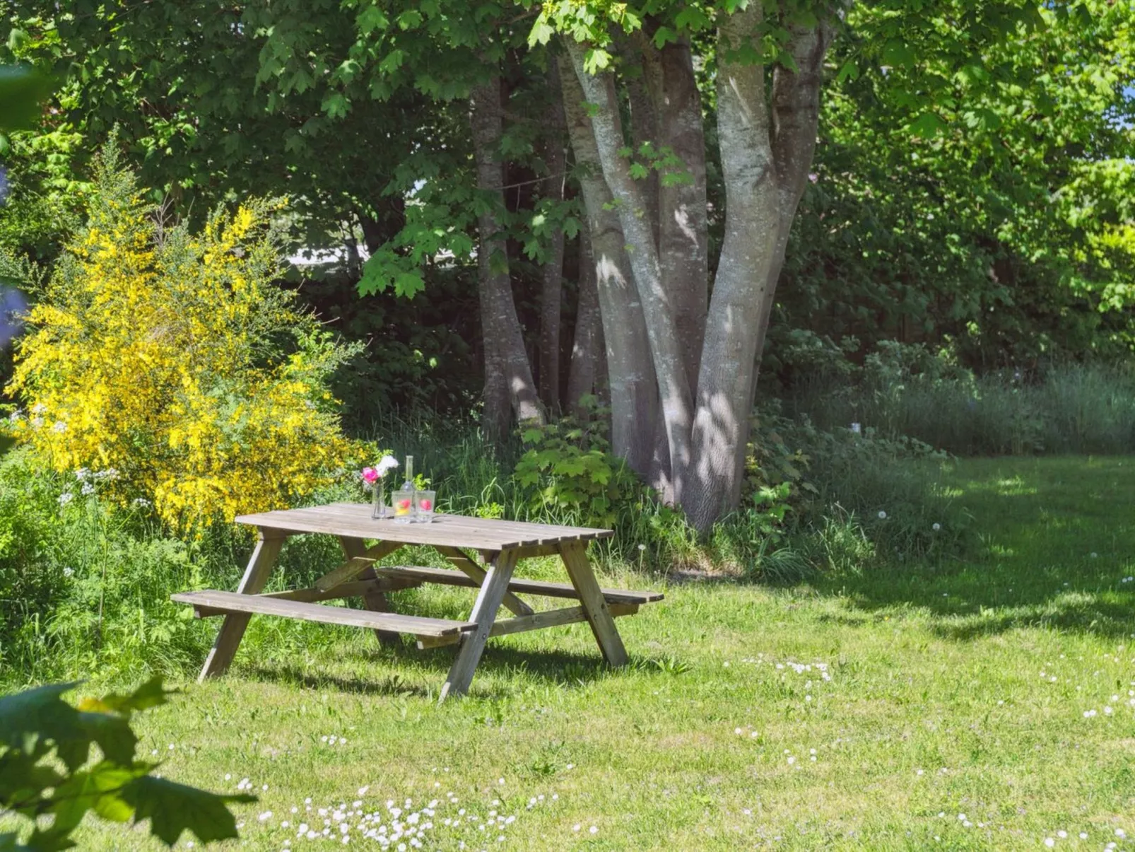 "Deljan" - 200m from the sea-Buiten