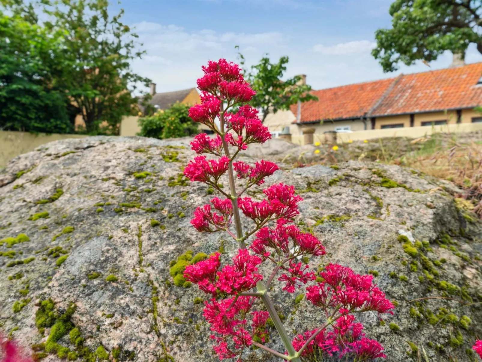 "Øde" - 100m from the sea-Buiten