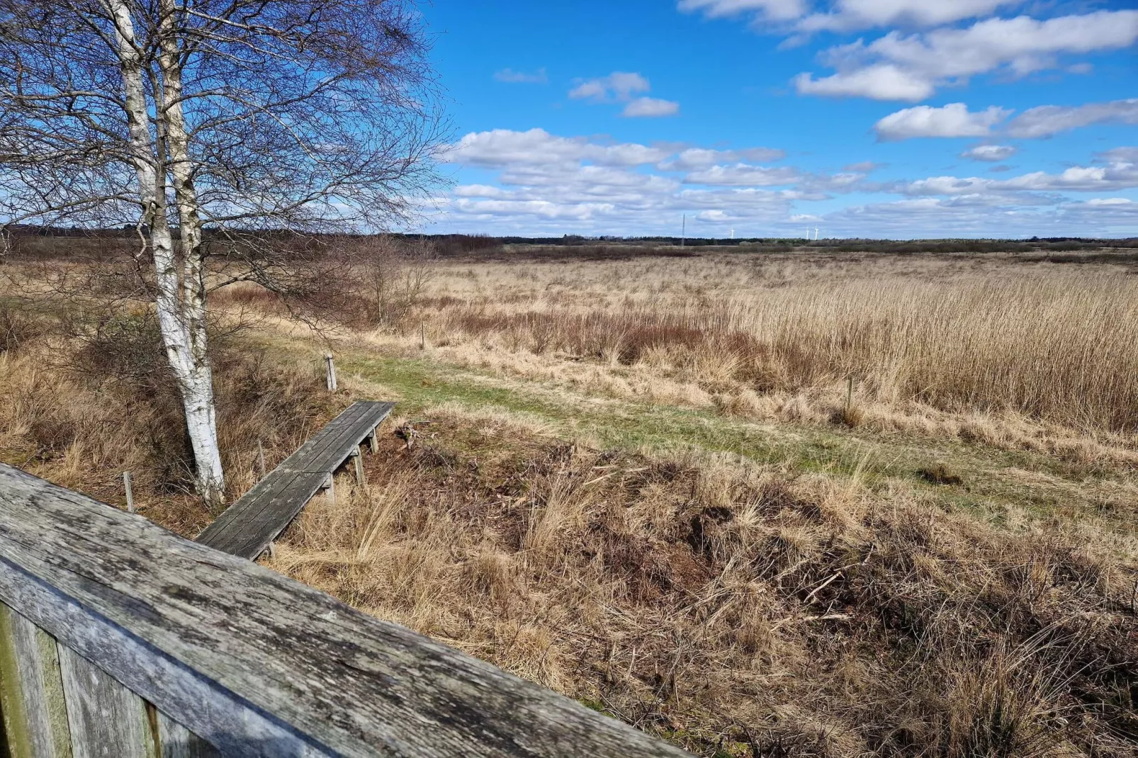 4 persoons vakantie huis in Bredebro-By Traum-Niet-getagd