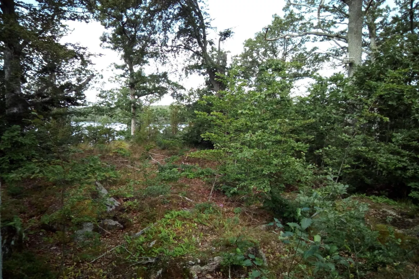 4 persoons vakantie huis in Holmsjö-By Traum-Niet-getagd