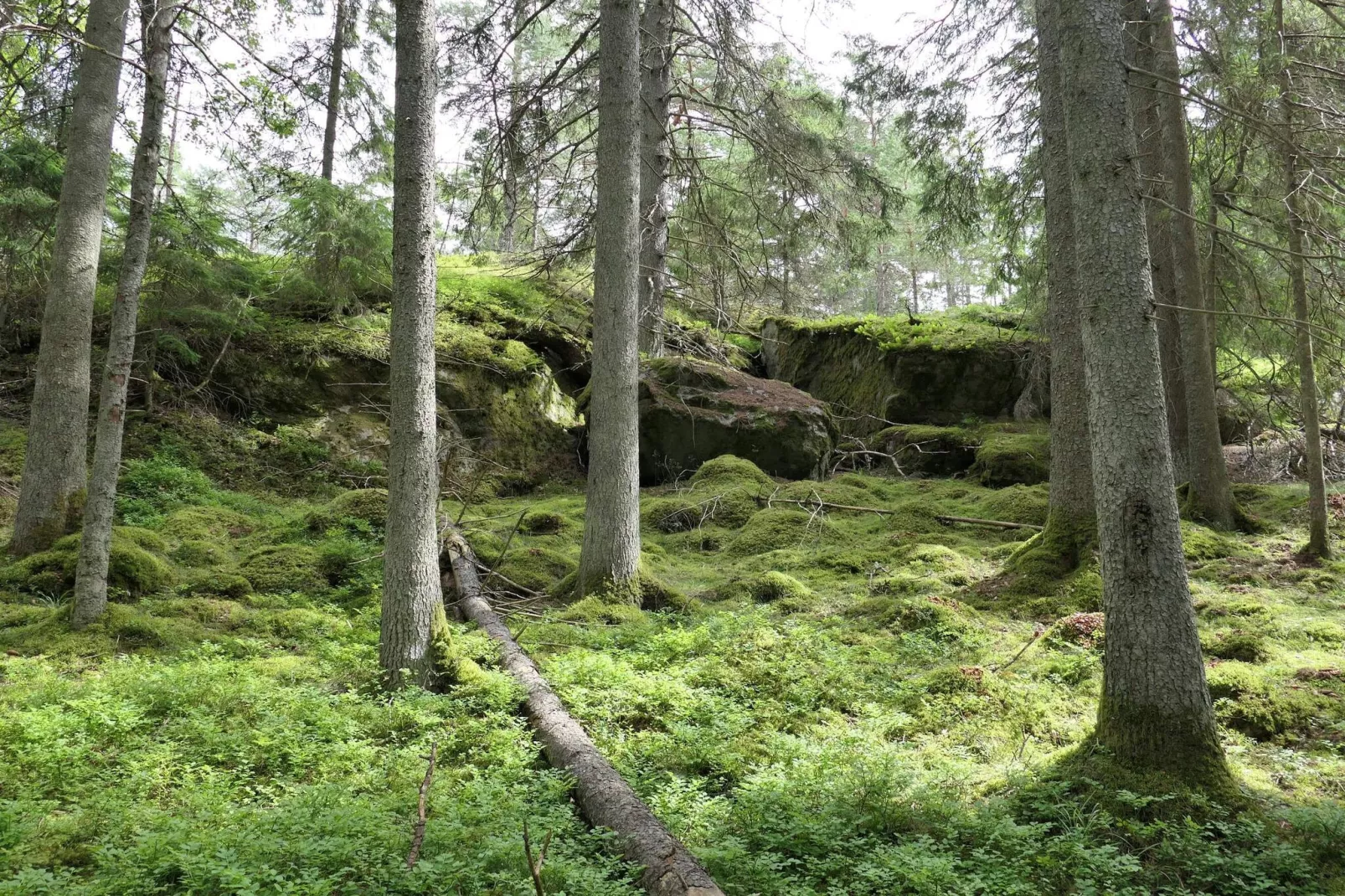 4 sterren vakantie huis in VÄRMDÖ-Niet-getagd