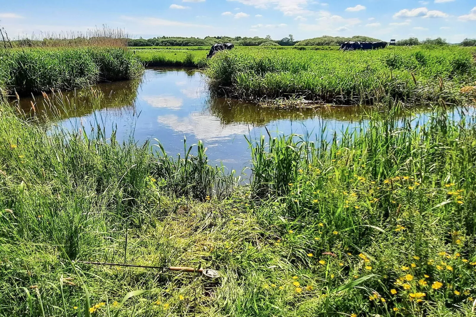 Licht appartement in Givskud -- By Traum Ferienwohnungen-Waterzicht