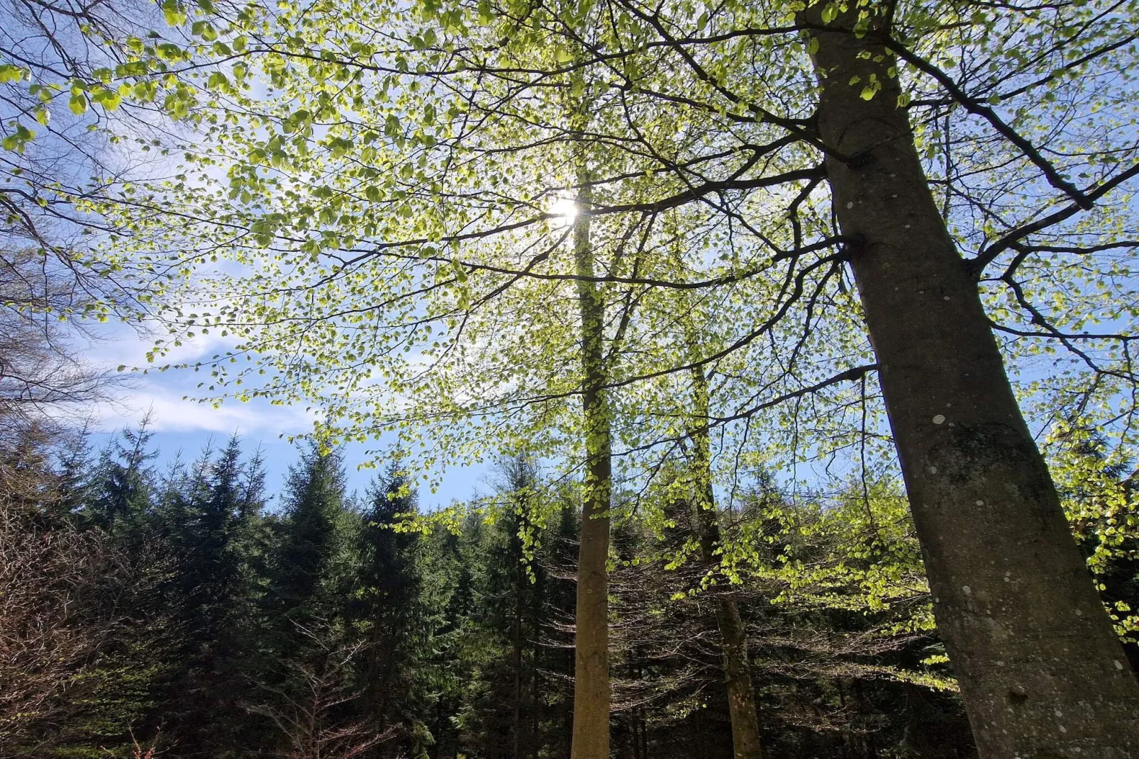 4 persoons vakantiehuis in Hoor-Niet-getagd