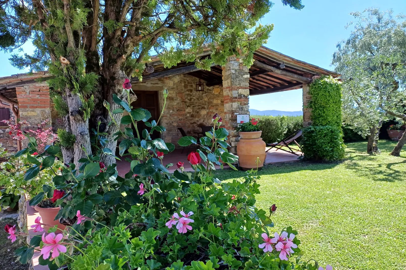 Agriturismo Podere Ceccherini in San Leolino - La Loggia - Tuinen zomer