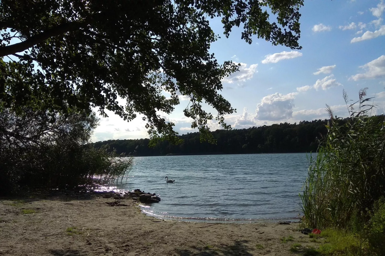 Luxus-Familienappartement / 6 Personen-Gebieden zomer 1km