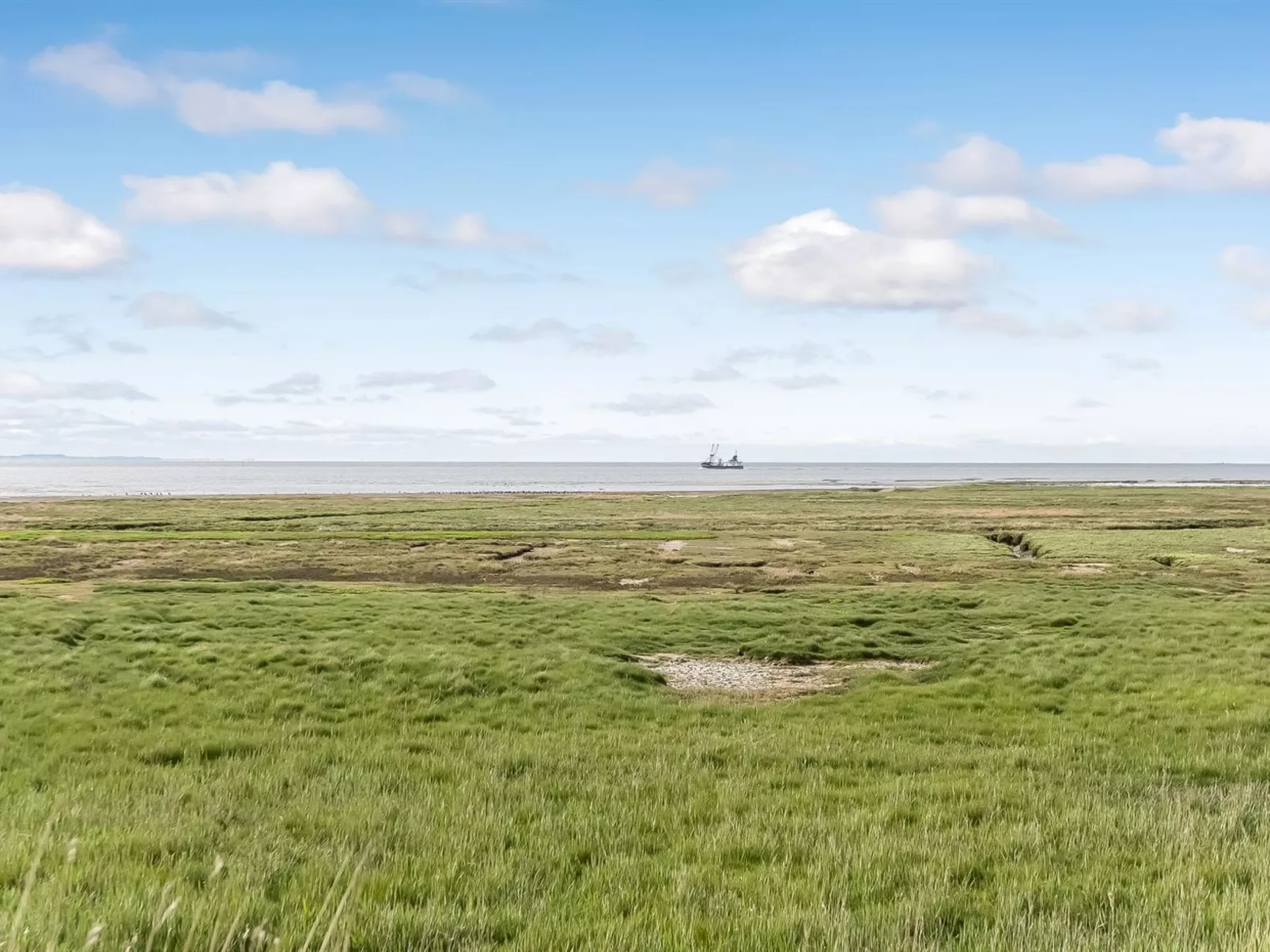 "Reinhold" - 1.9km from the sea-Buiten