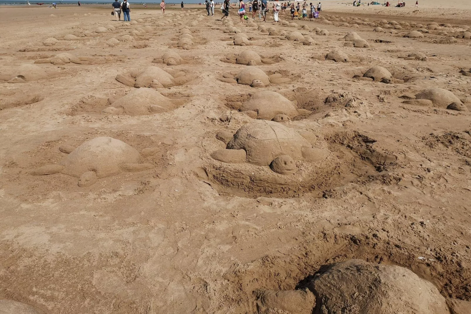 De Rede-Gebieden zomer 5km