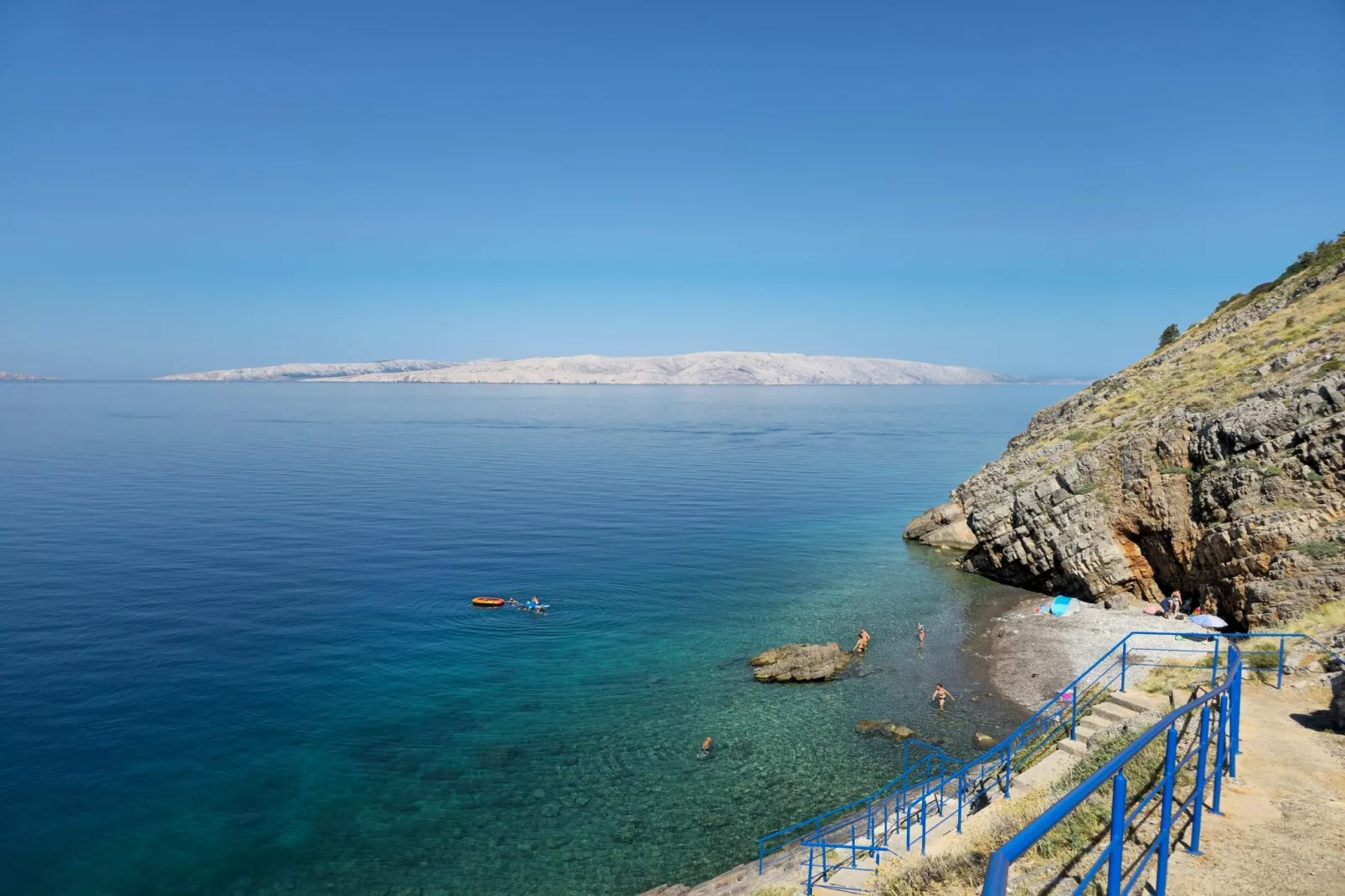 Niko 1-Gebieden zomer 1km