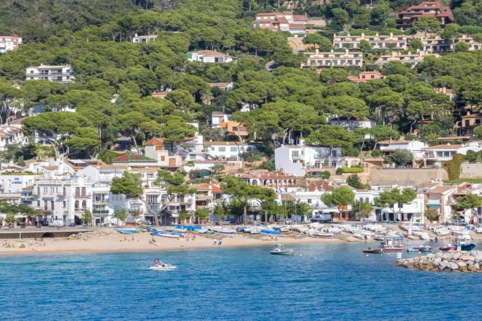 Pastora 2-Gebieden zomer 20km