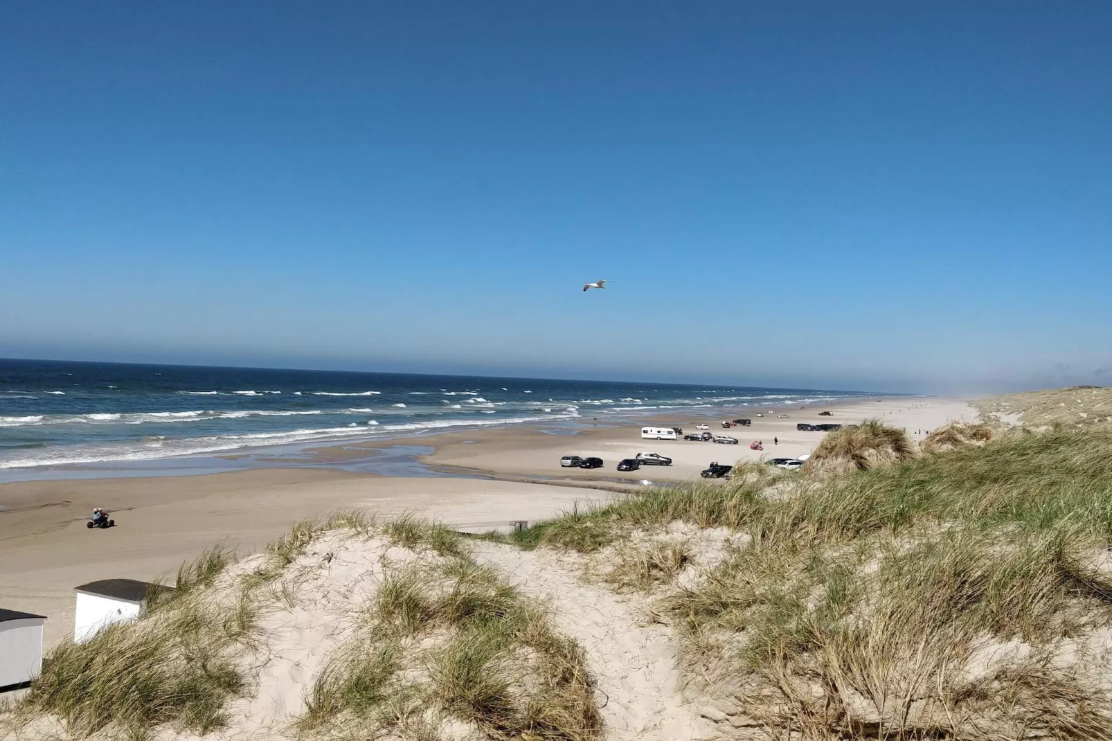 Gezellig vakantiehuis voor 6 personen in Blokhus-Waterzicht