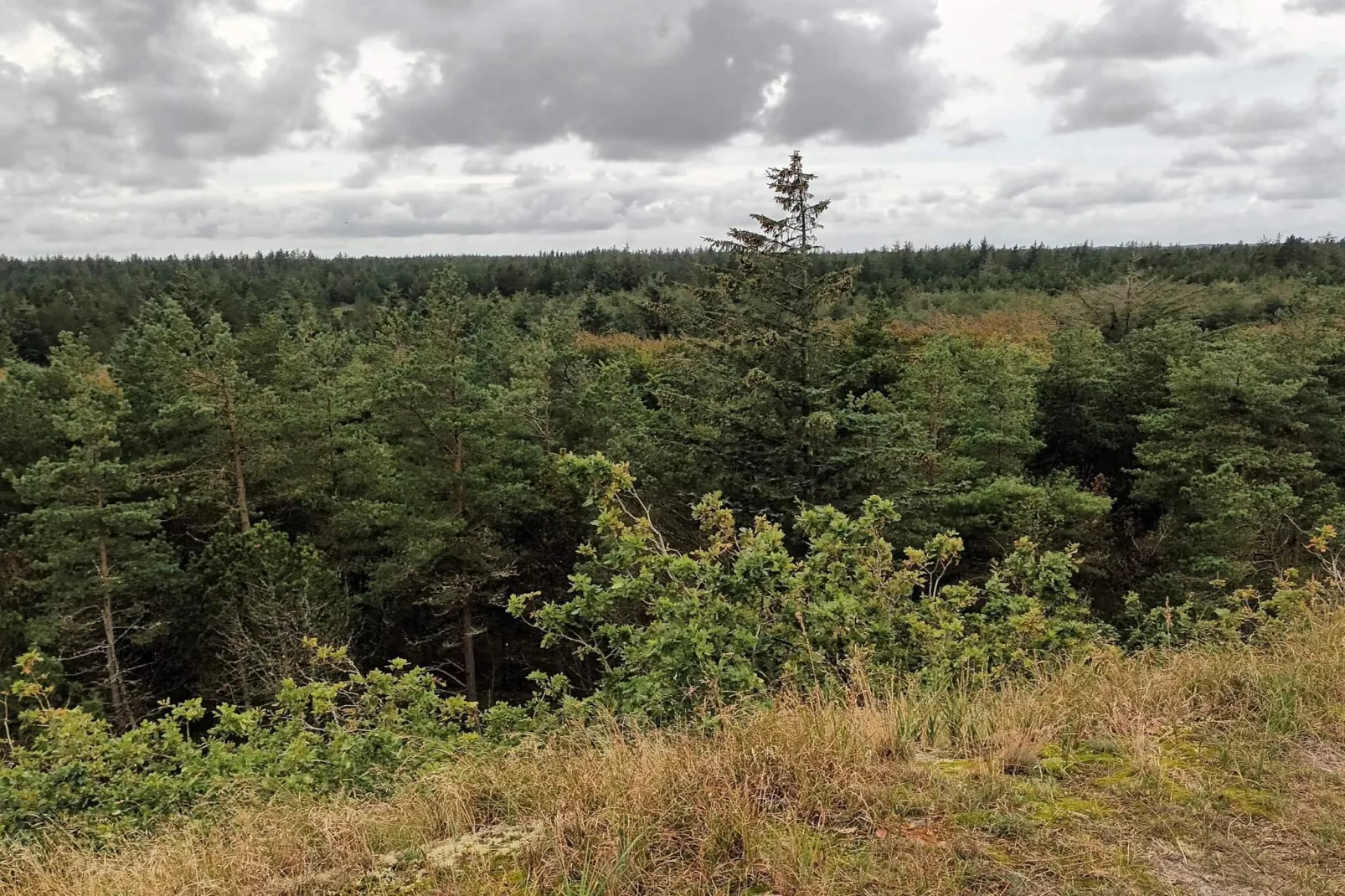 5 Personen vakantie huis in Snedsted-Niet-getagd