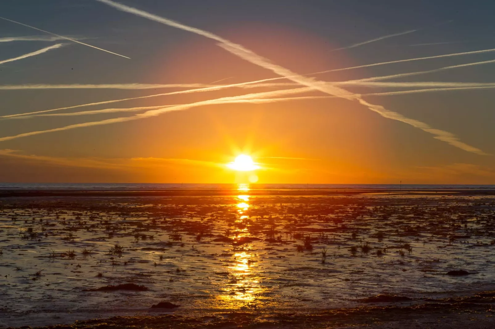 4 sterren vakantie huis in Fanø-Waterzicht