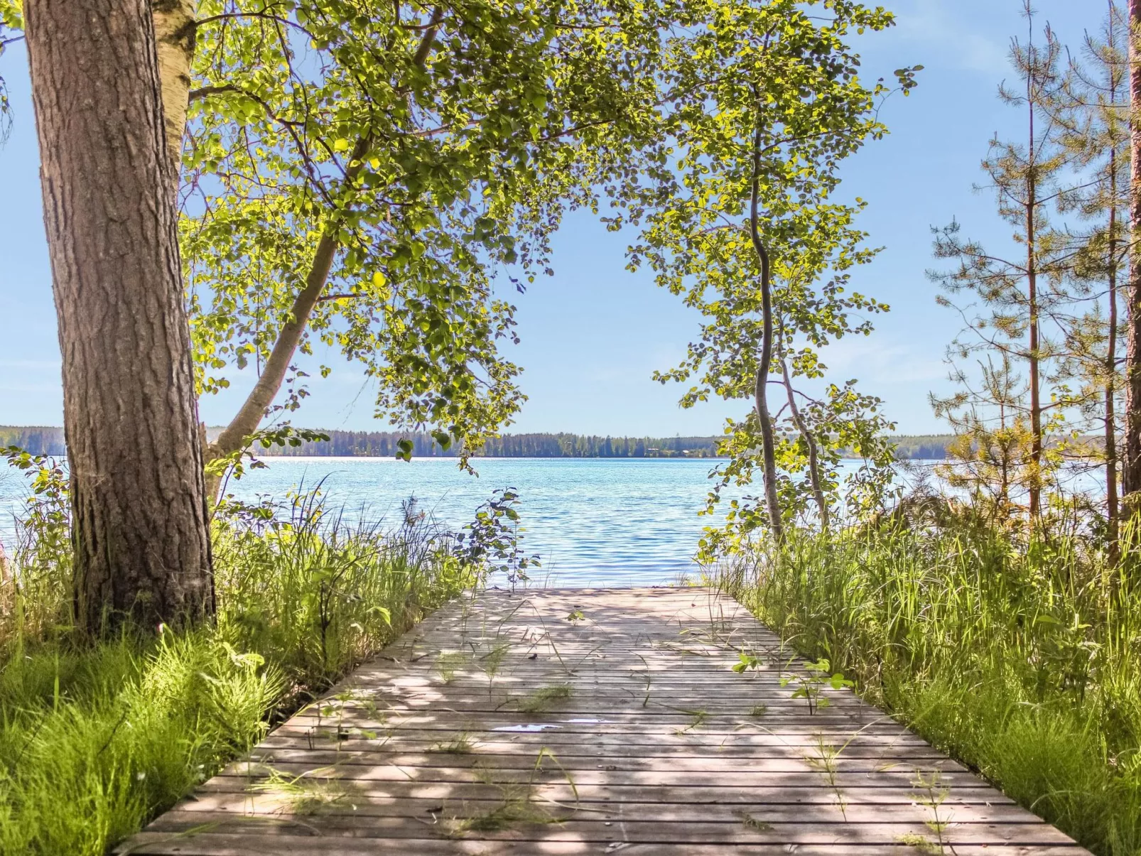 Villa hermanni-Binnen