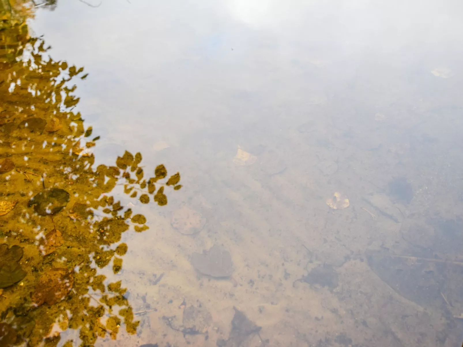 Mökki mikkola-Binnen