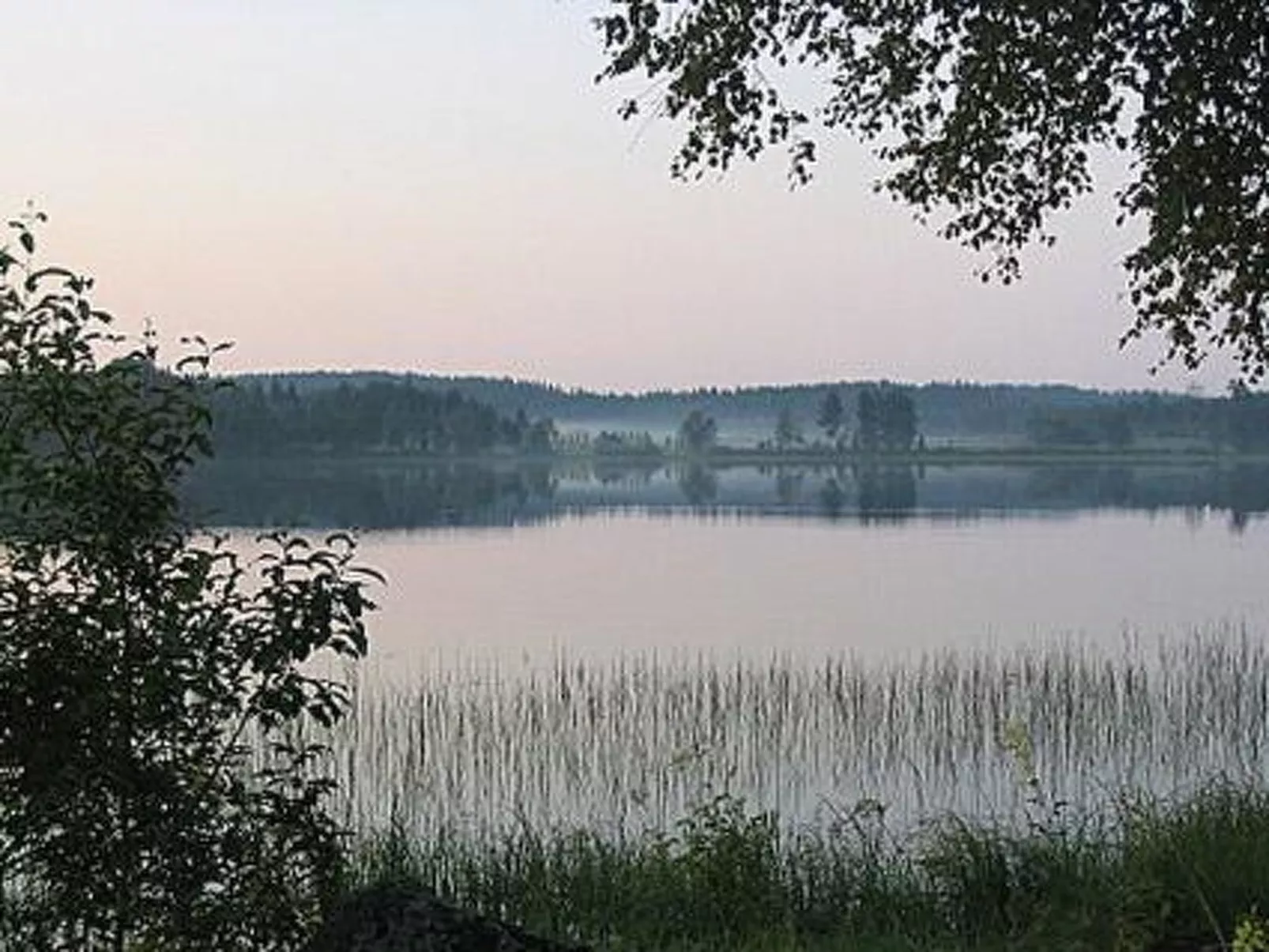 Koivuniemi-Binnen