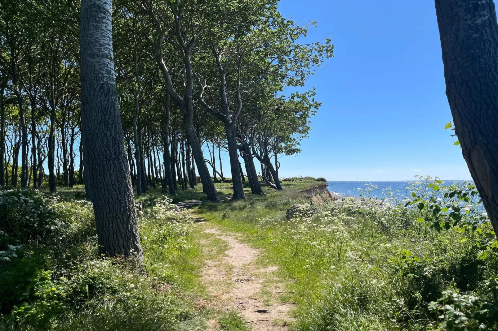 4 sterren vakantie huis in Bagenkop-Waterzicht