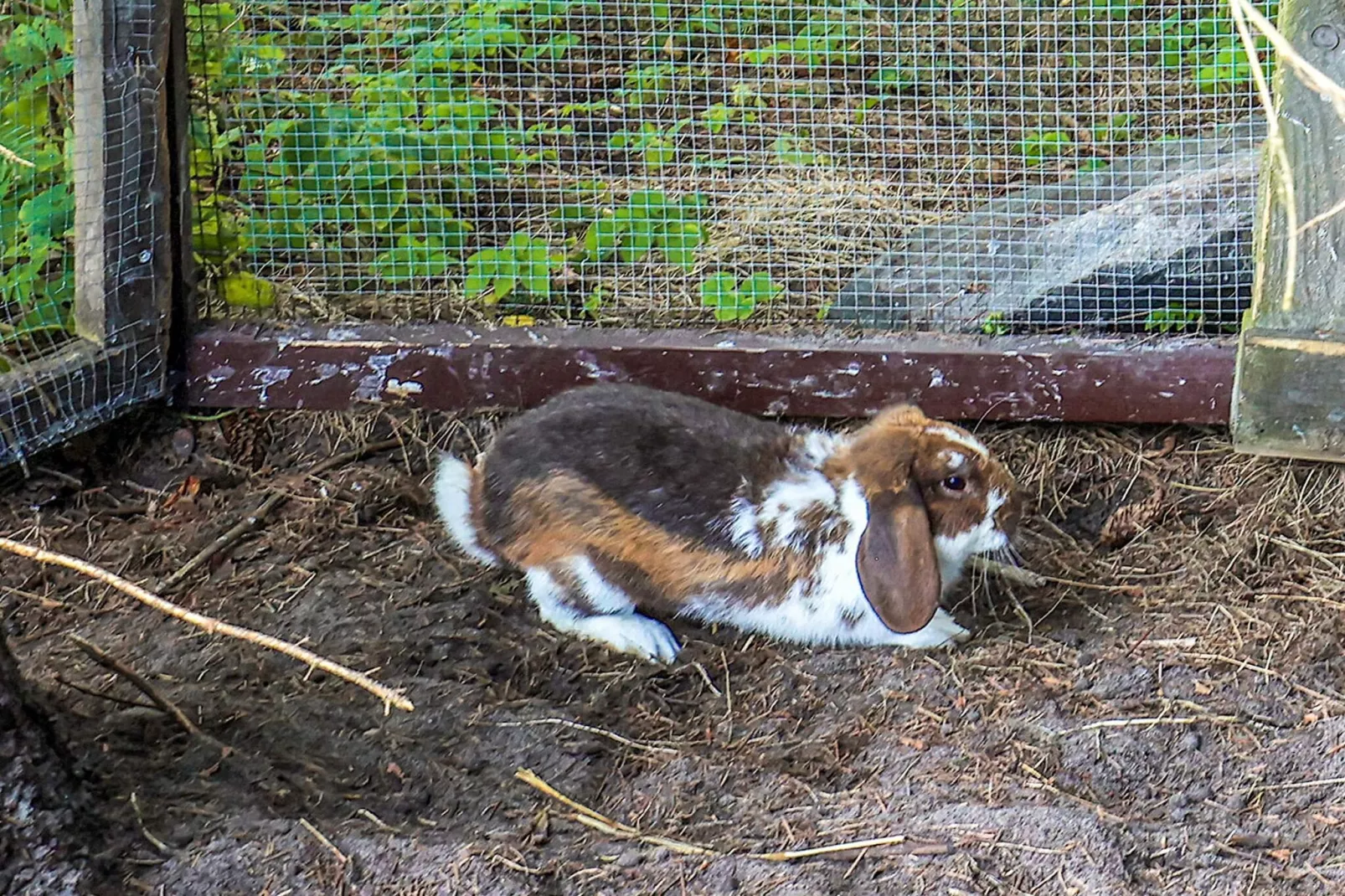 4 sterren vakantie huis in Asaa-Niet-getagd