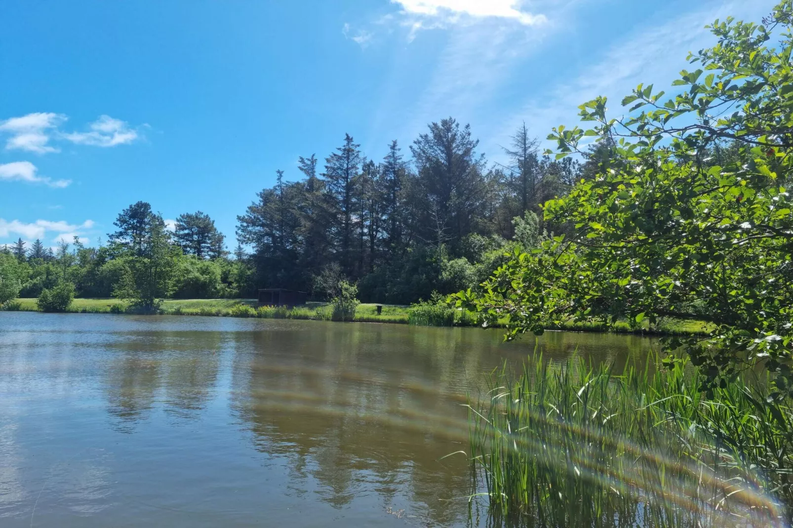 6 Personen vakantie huis in Løkken-Waterzicht