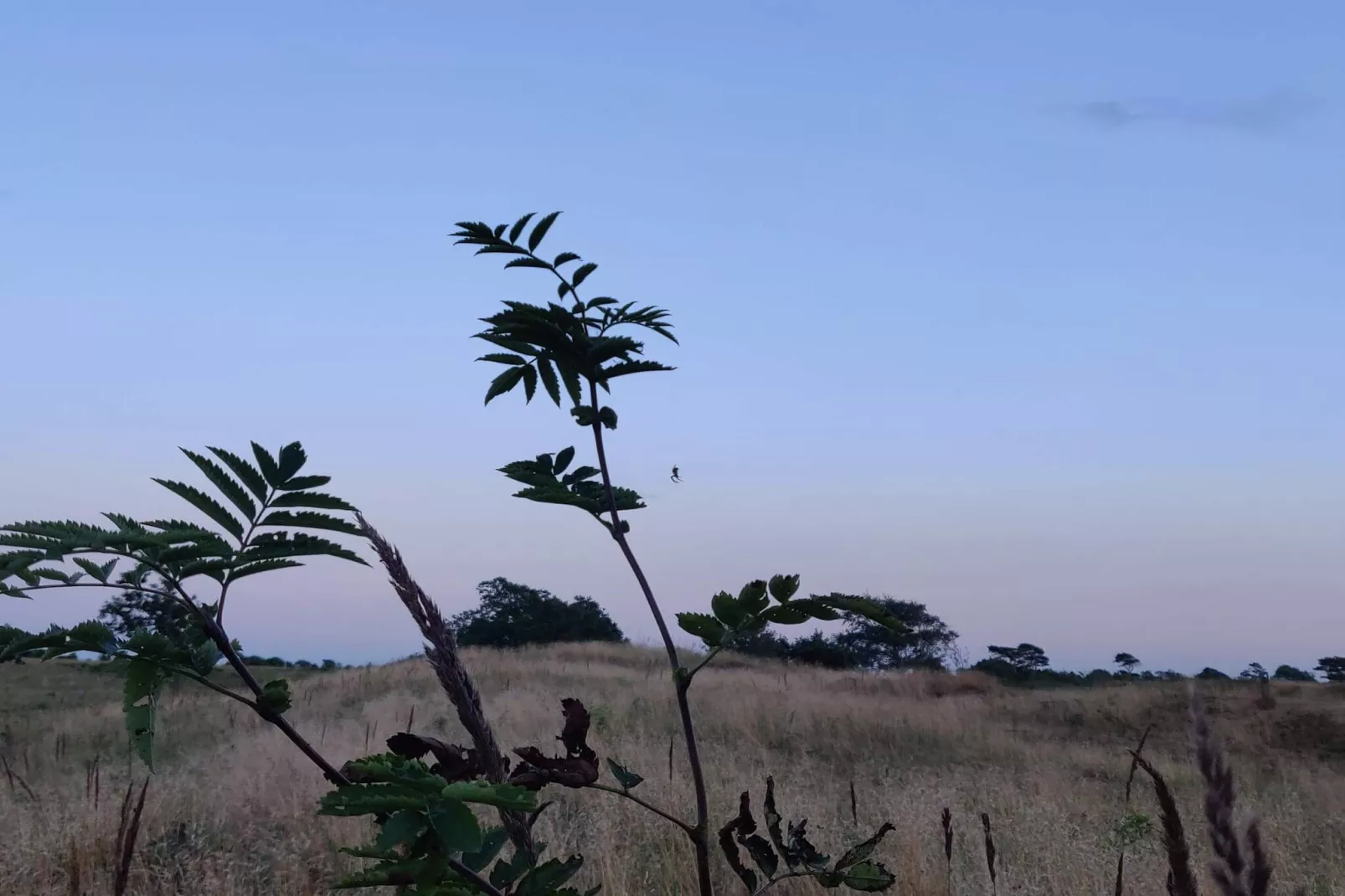 4 sterren vakantie huis in Brønderslev-Niet-getagd