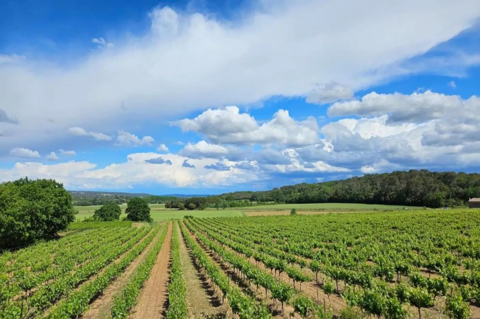 Appartement La Pampa-Gebieden zomer 1km