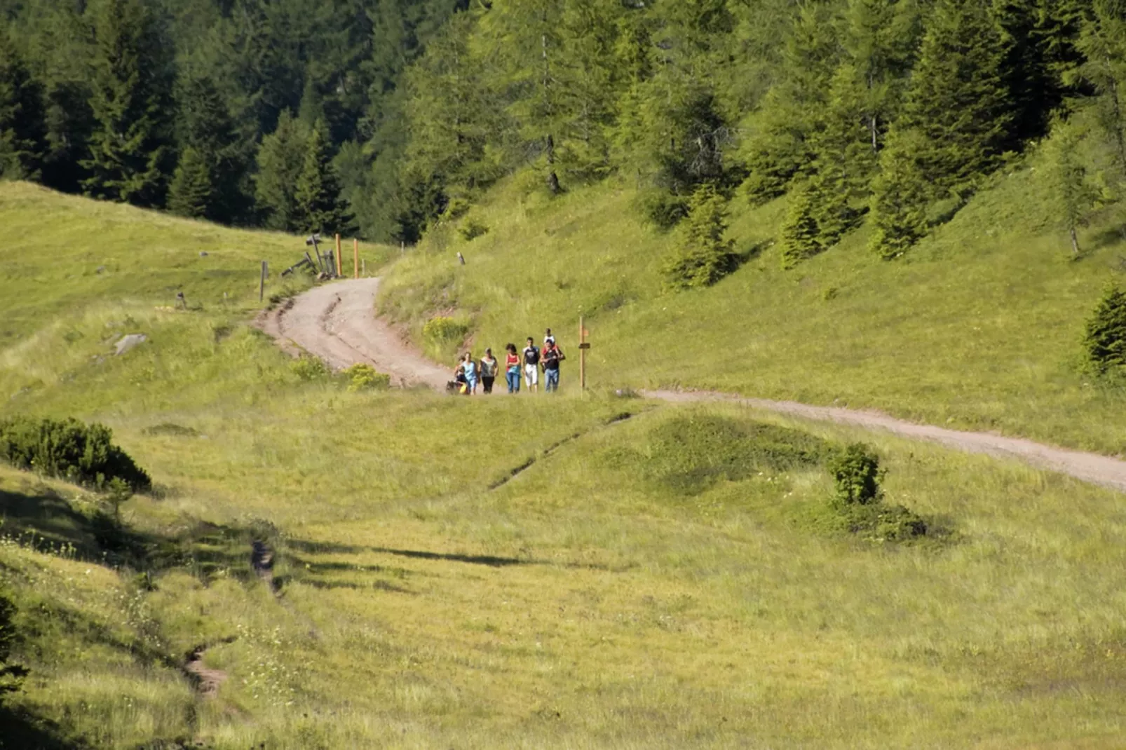 Renetta Mansarda-Gebieden zomer 5km