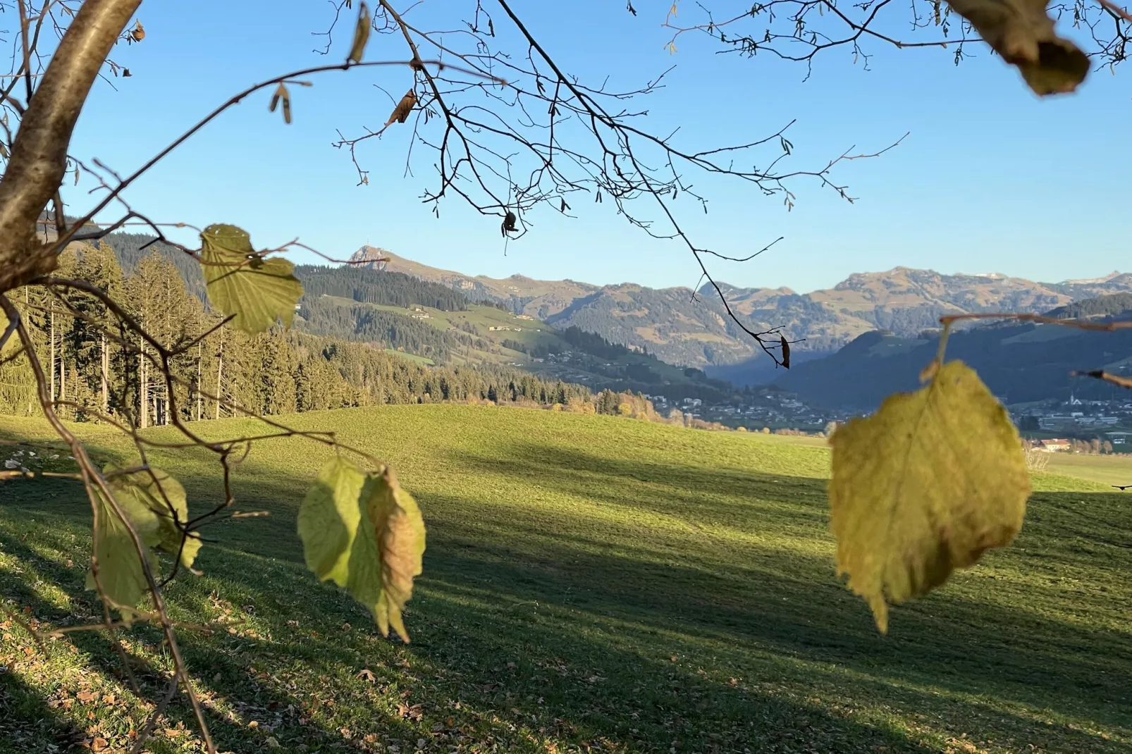 Residenz Edelalm Top 3-Gebieden zomer 1km