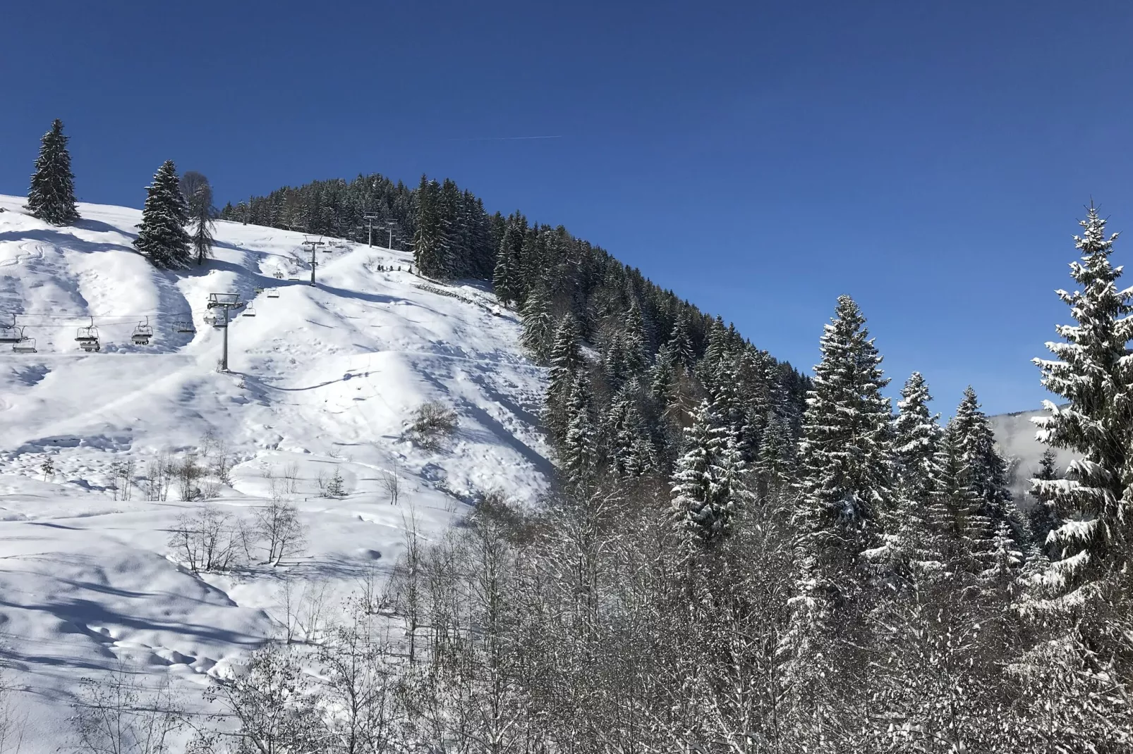 Residenz Edelalm Top 3-Gebied winter 1km