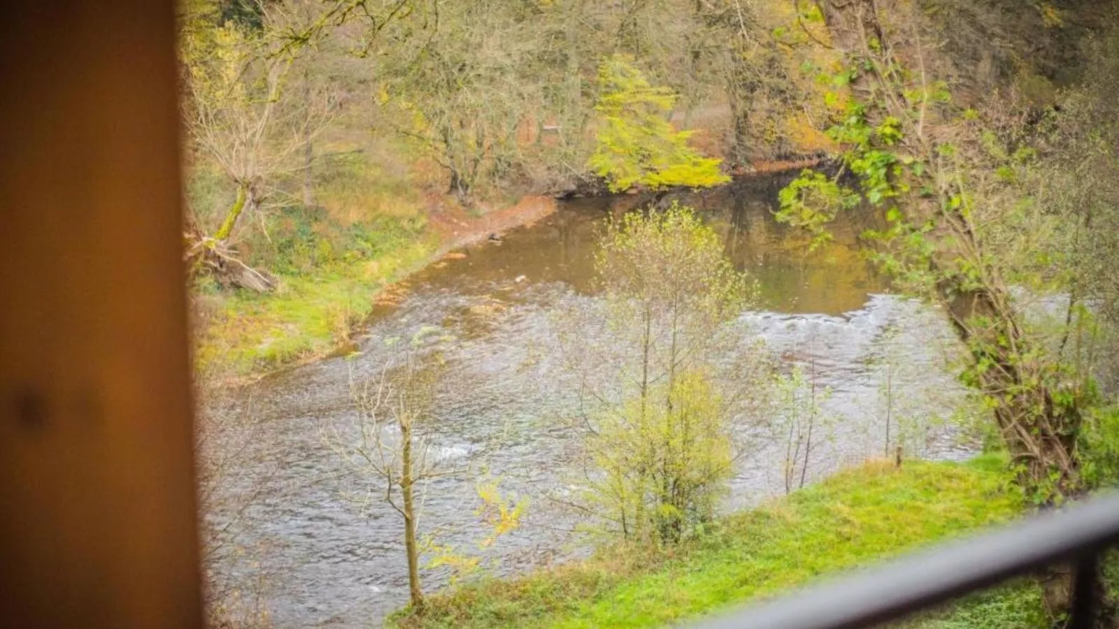 Vue sur Ourthe-Uitzicht zomer