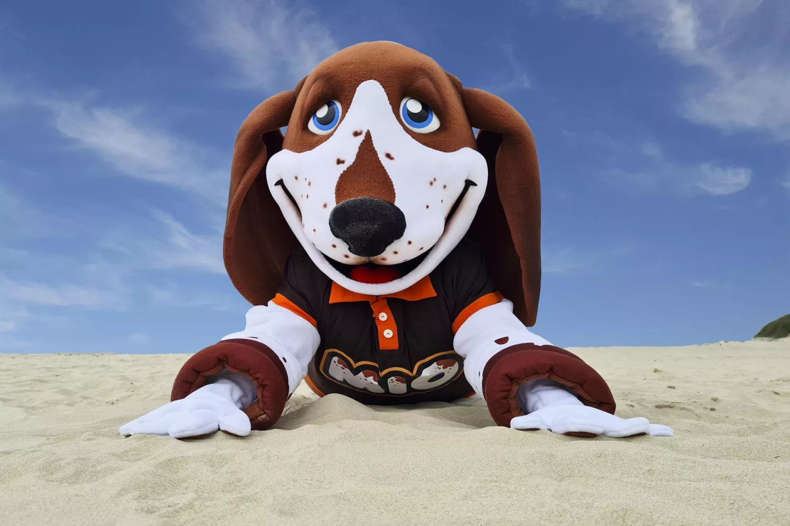 Berck sur Mer 12-Parkfaciliteiten