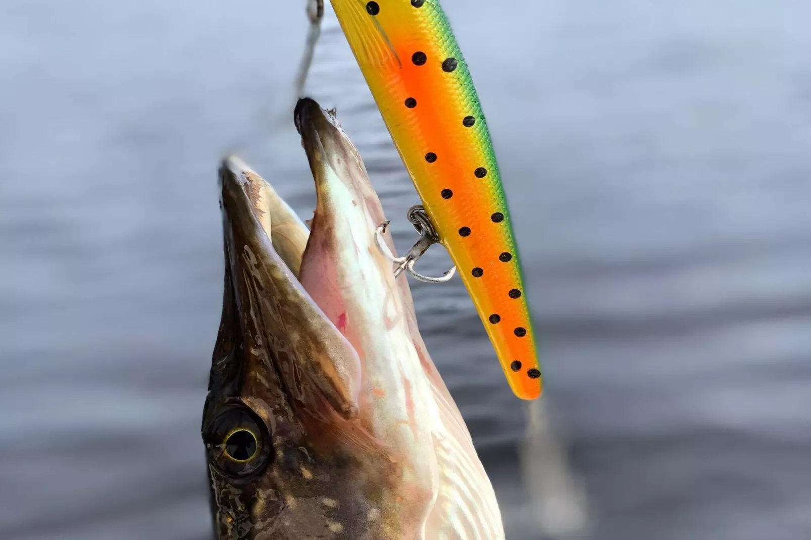 7 Personen vakantie huis in KIL-Buitenlucht