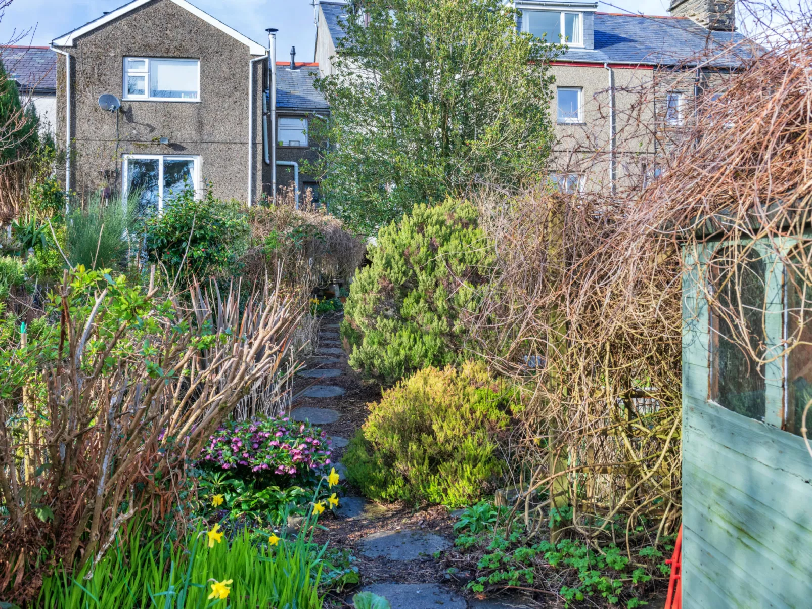 Dolwar Cottage-Buiten