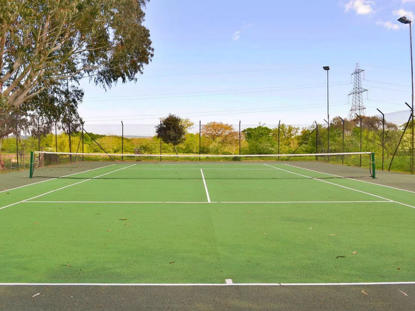 Little Dunley - Vine Lodge-Binnen