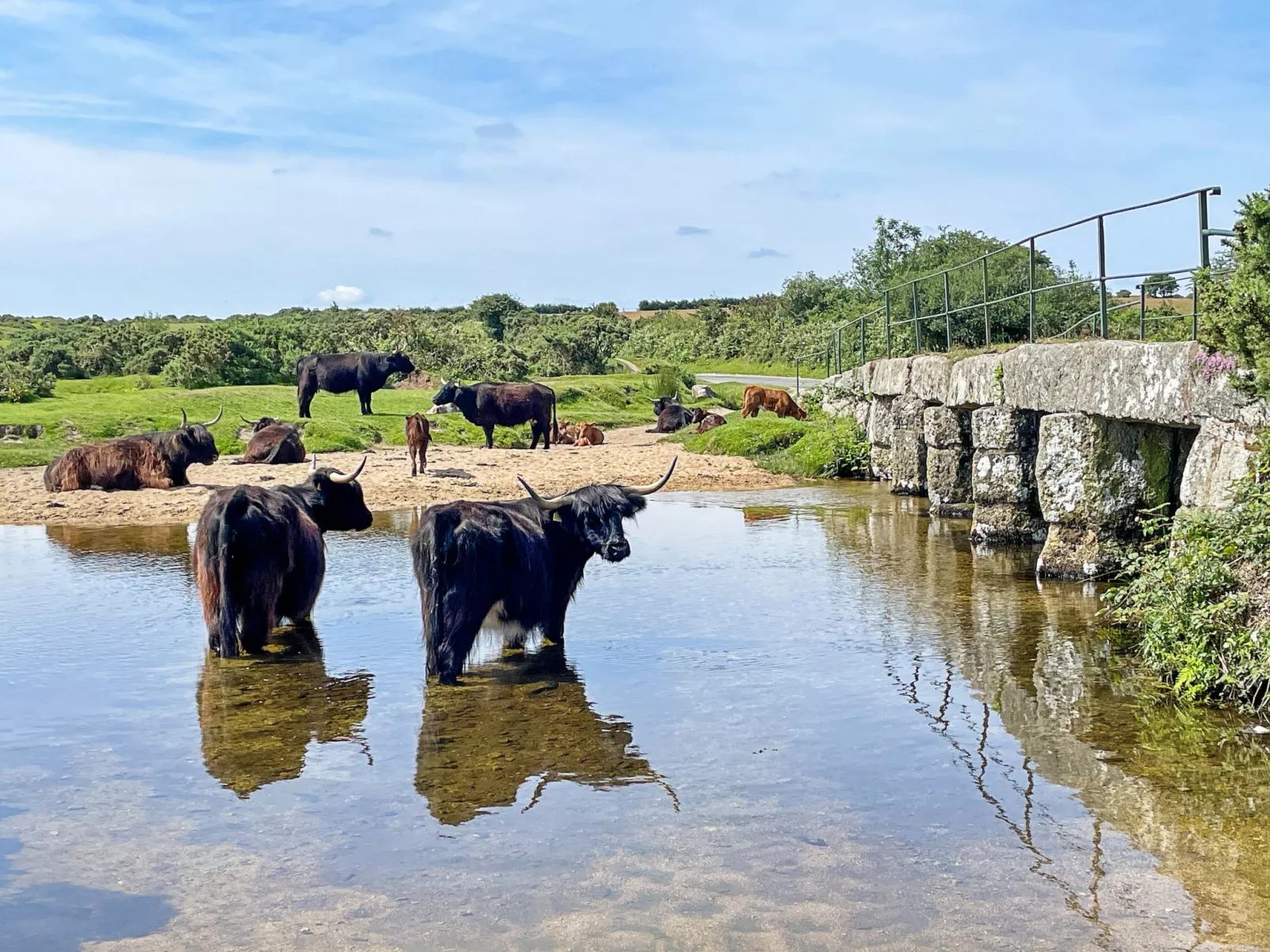 Stable Barn Apartment at Bodmin Moor-Buiten