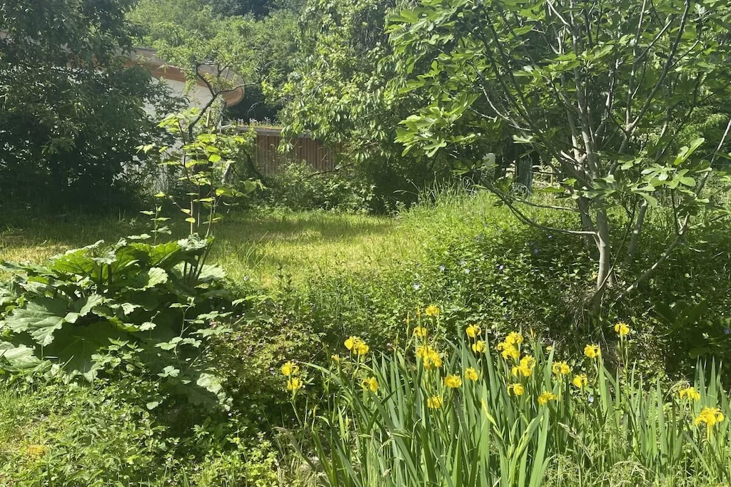 479485 - Niet-getagd