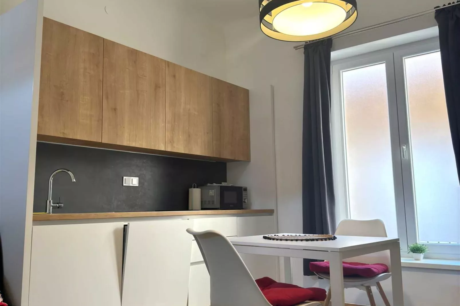 Zagreb Center Apartments- Downtown Apartment- Studio-Keuken