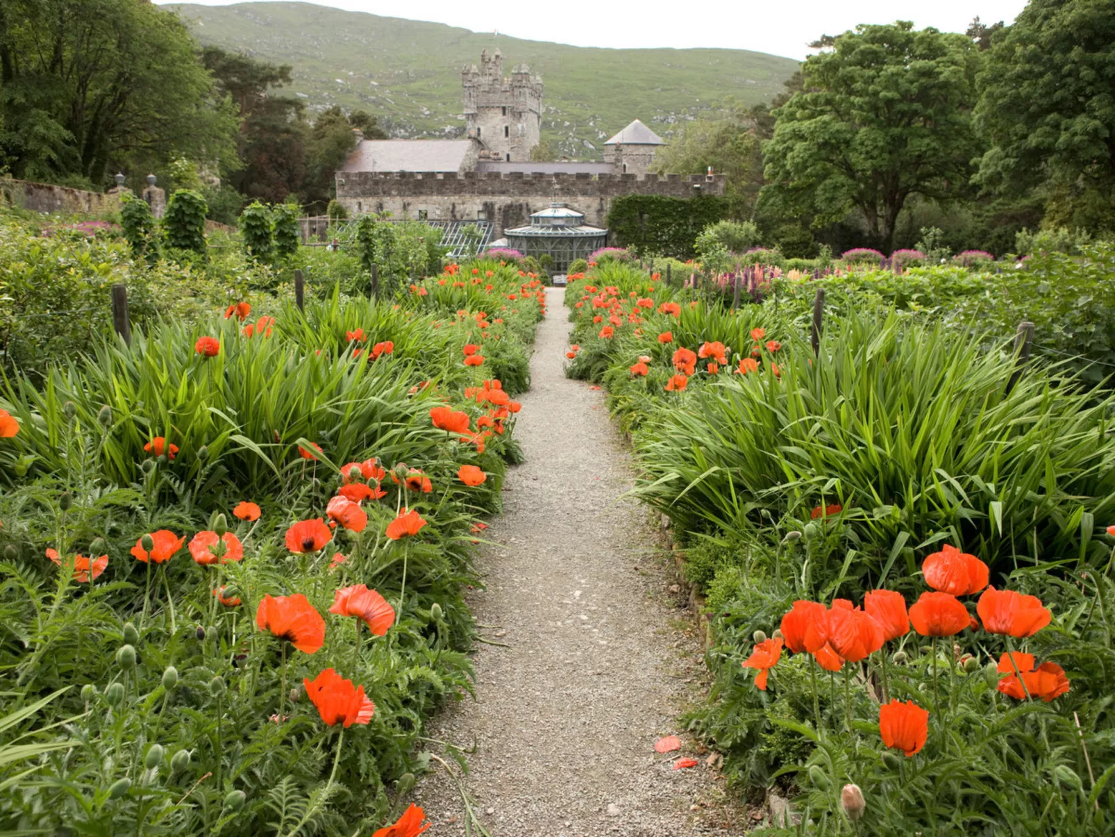 Capstan Cottage Portsalon-Binnen