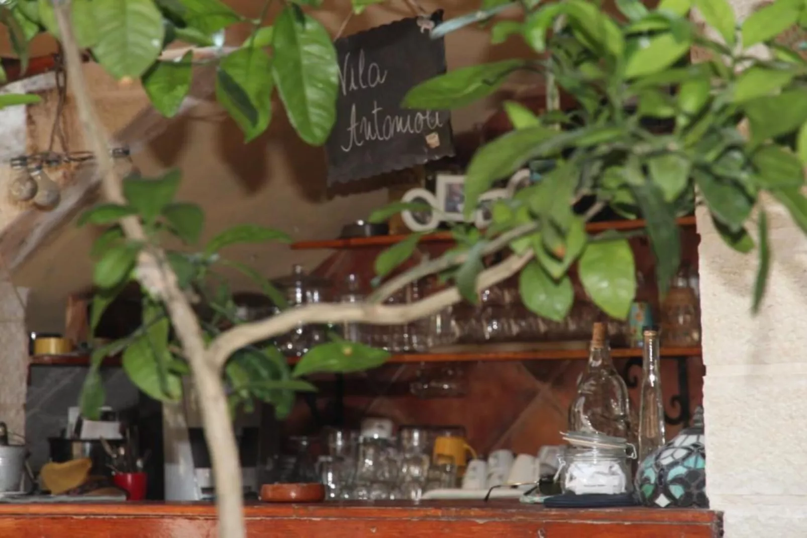 Quaint & Affordable Stay in Budva Traditional Stone House - Double Room 1-Tuinen zomer