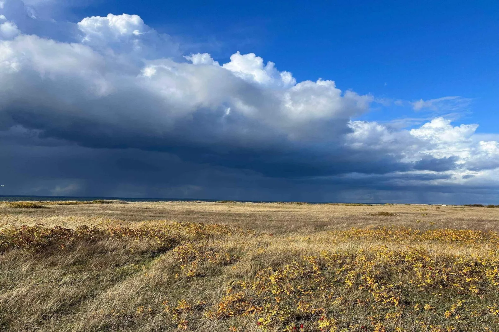 5 sterren vakantie huis in Tranekær-Buitenlucht