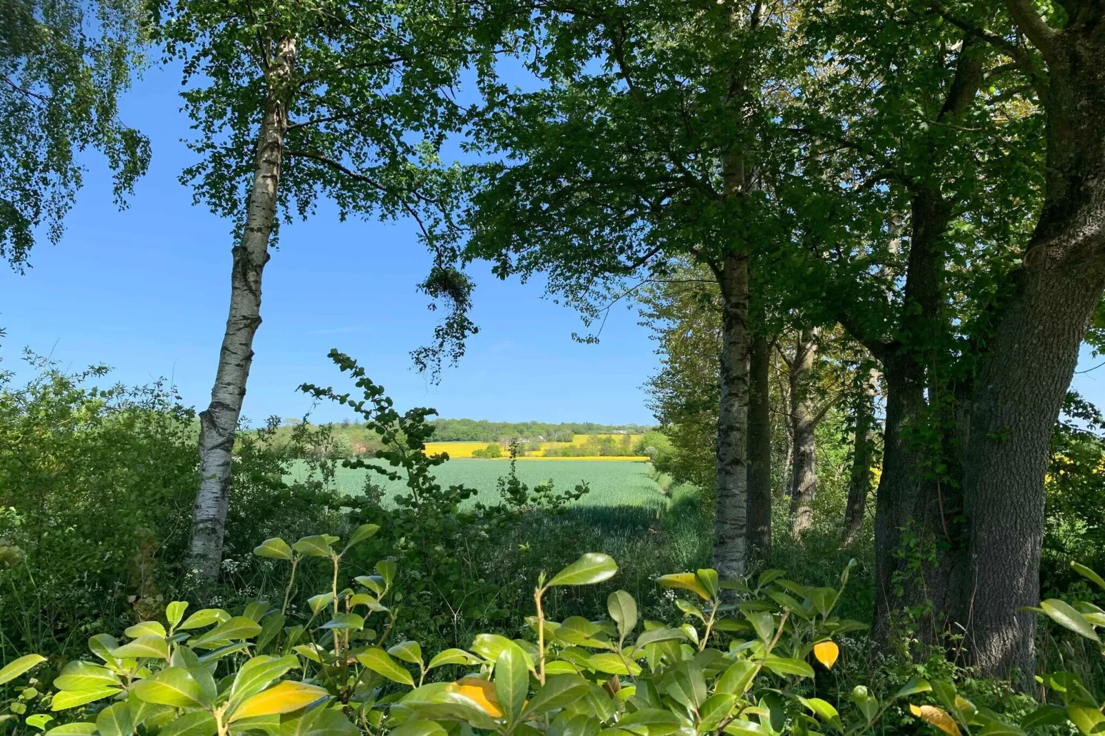 5 sterren vakantie huis in Nexø-Niet-getagd