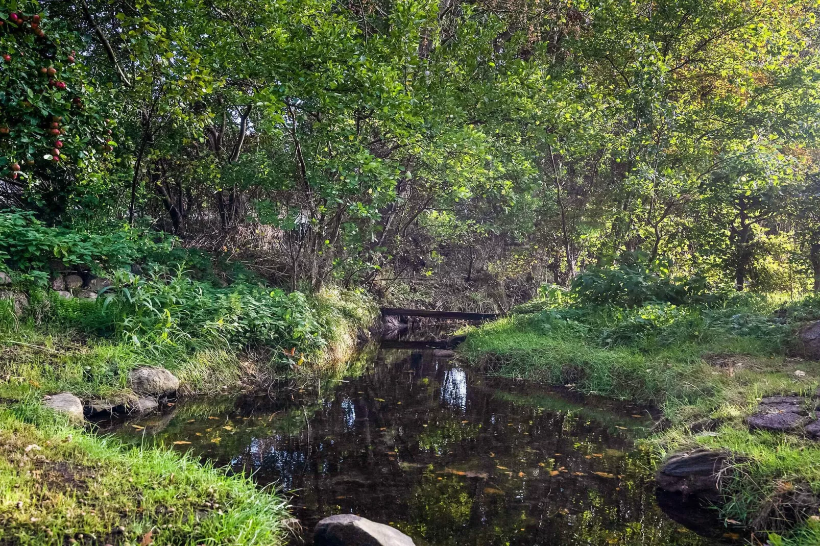 5 sterren vakantie huis in Millinge-Buitenlucht