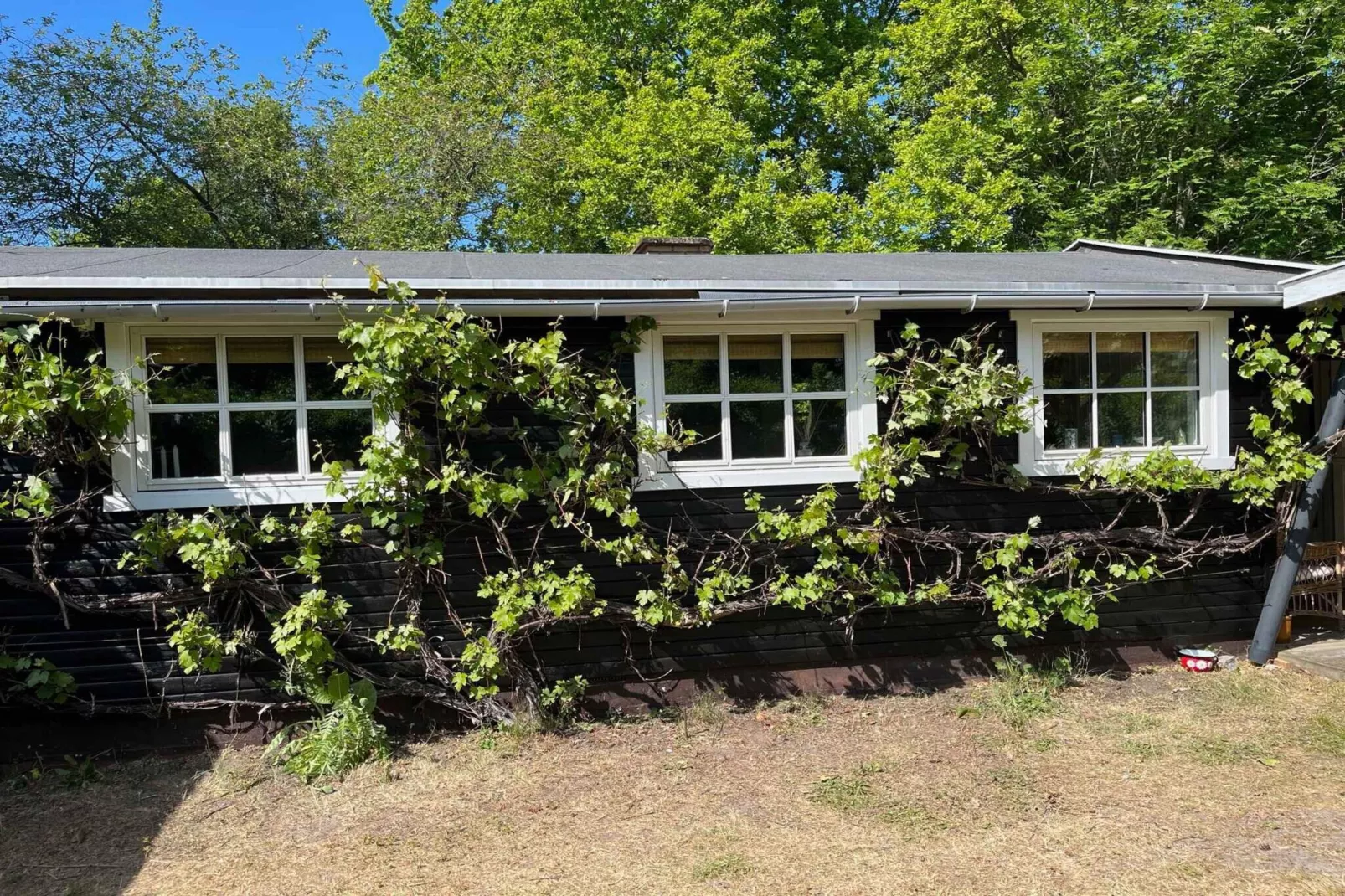 5 sterren vakantie huis in Hasle-Buitenlucht