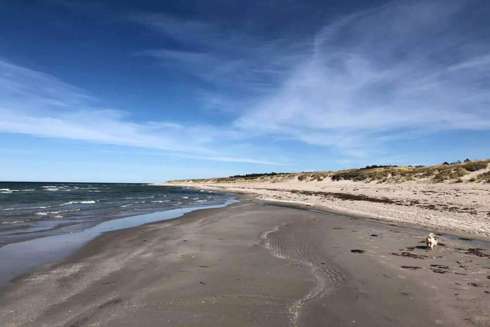 5 sterren vakantie huis in Nykøbing Sj-Buitenlucht