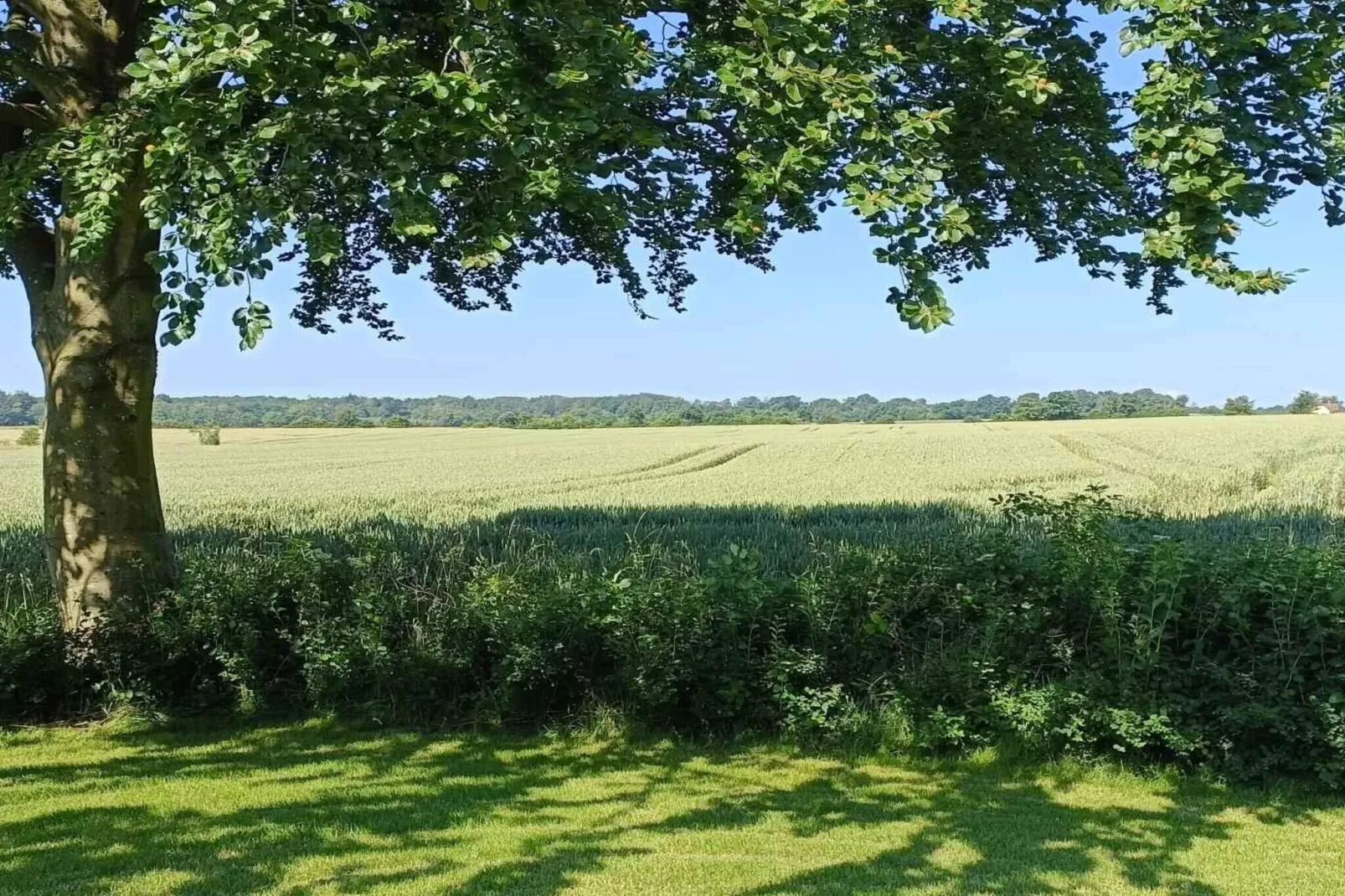 5 sterren vakantie huis in Gudbjerg Sydfyn-Niet-getagd