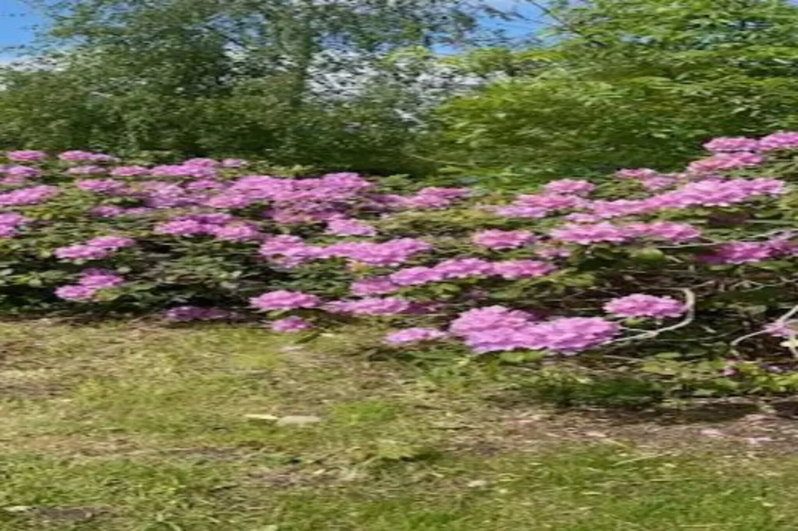 5 sterren vakantie huis in Dronningmølle-Niet-getagd