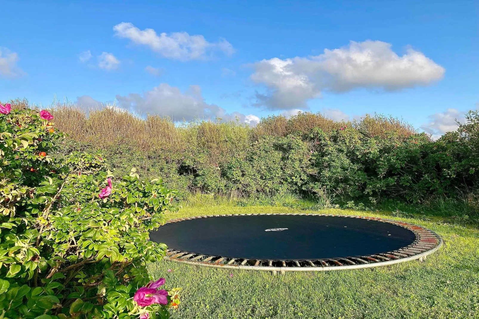 5 sterren vakantie huis in Lemvig-Niet-getagd