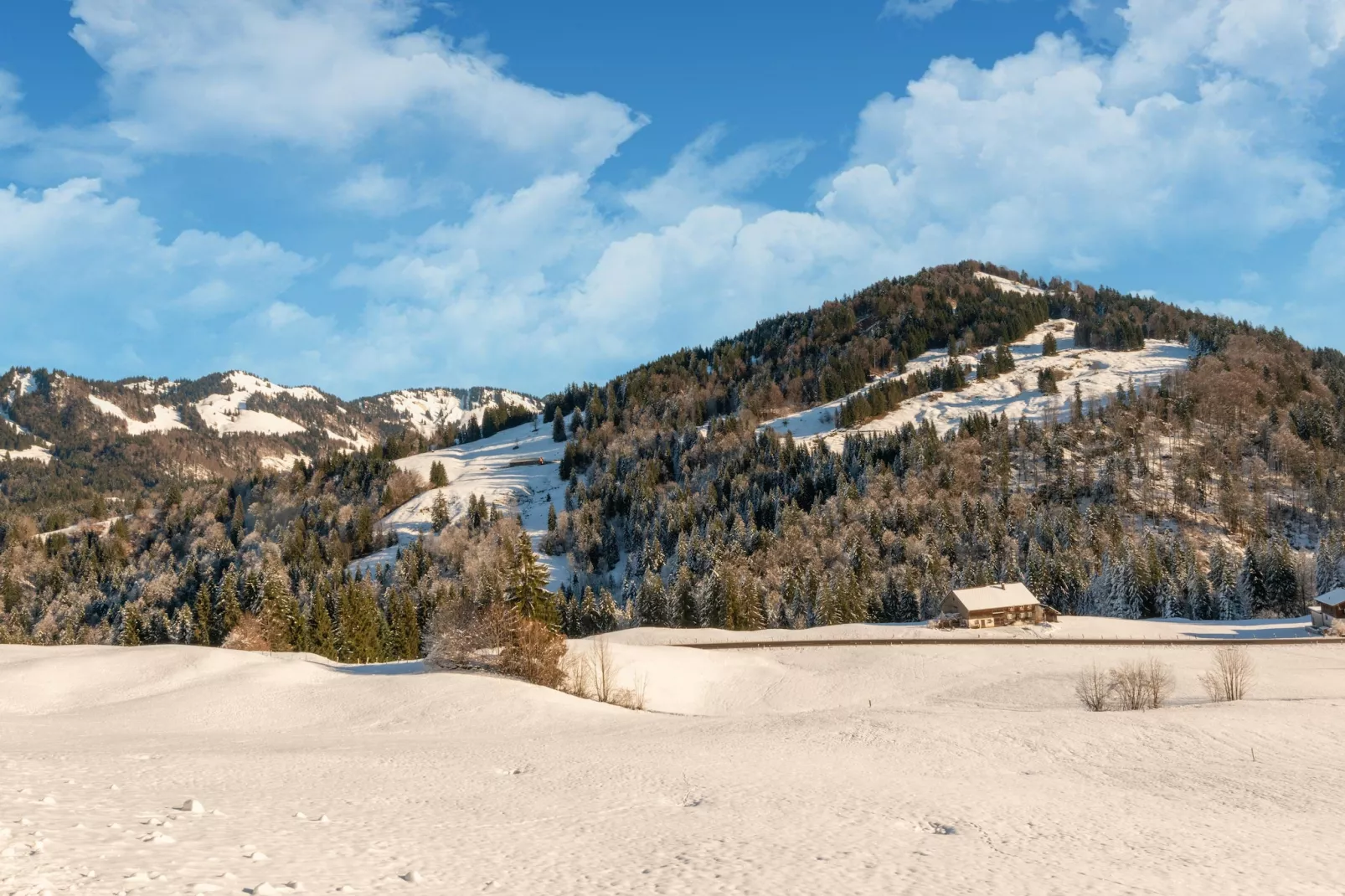 Chalet Sibratsgfäll 2-Gebied winter 5km